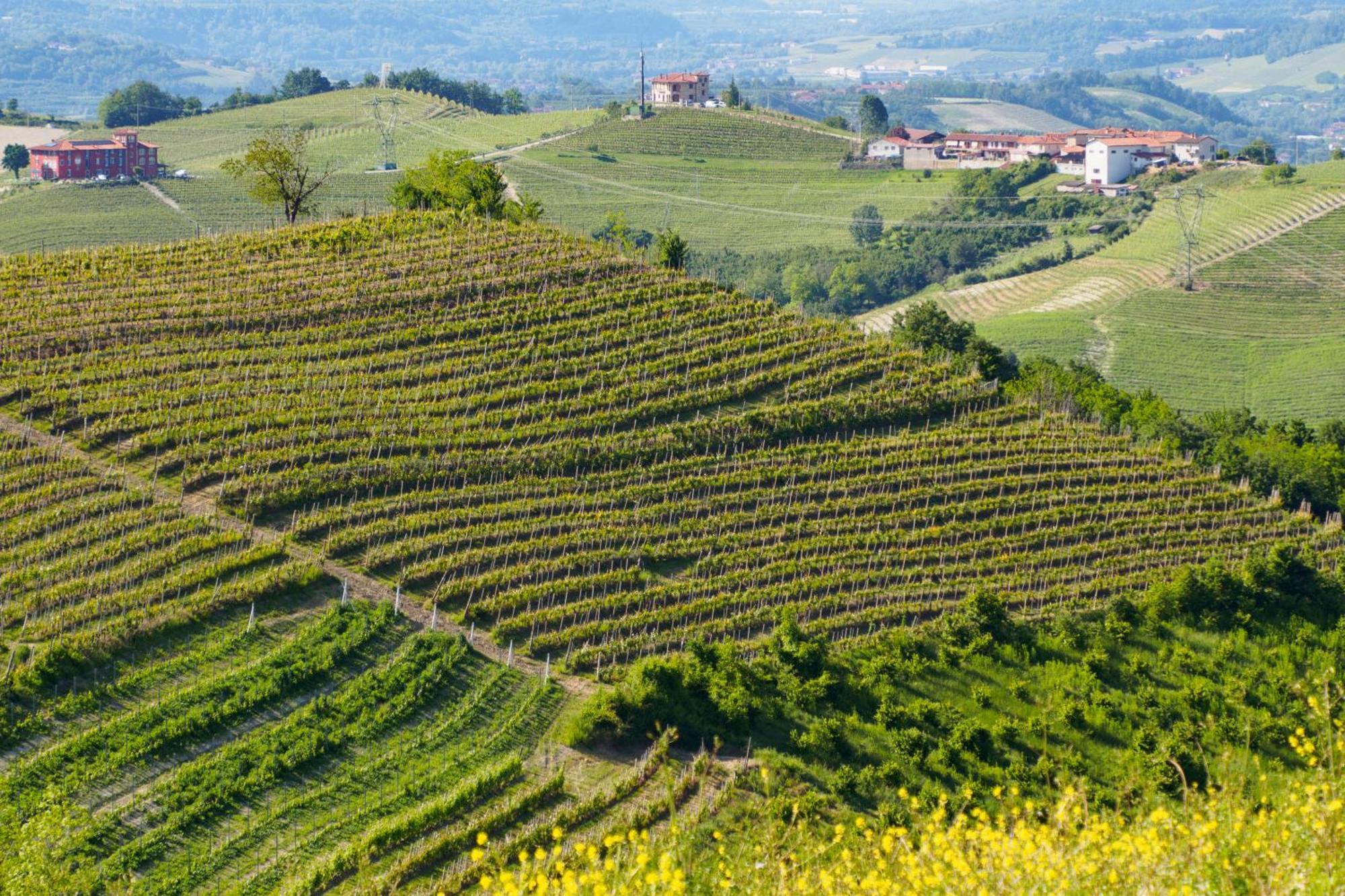 Casa Felice Villa Farigliano ภายนอก รูปภาพ