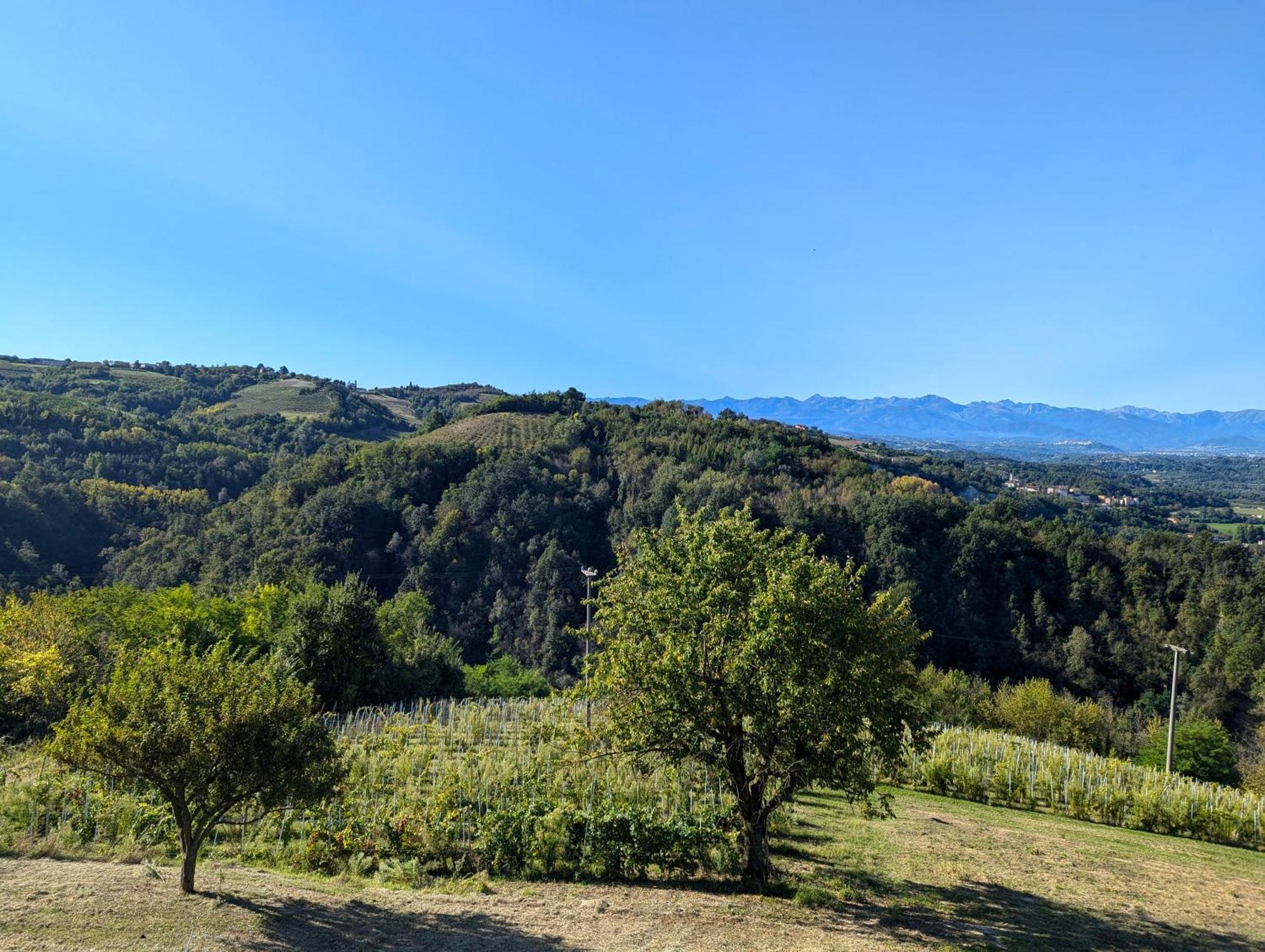 Casa Felice Villa Farigliano ภายนอก รูปภาพ