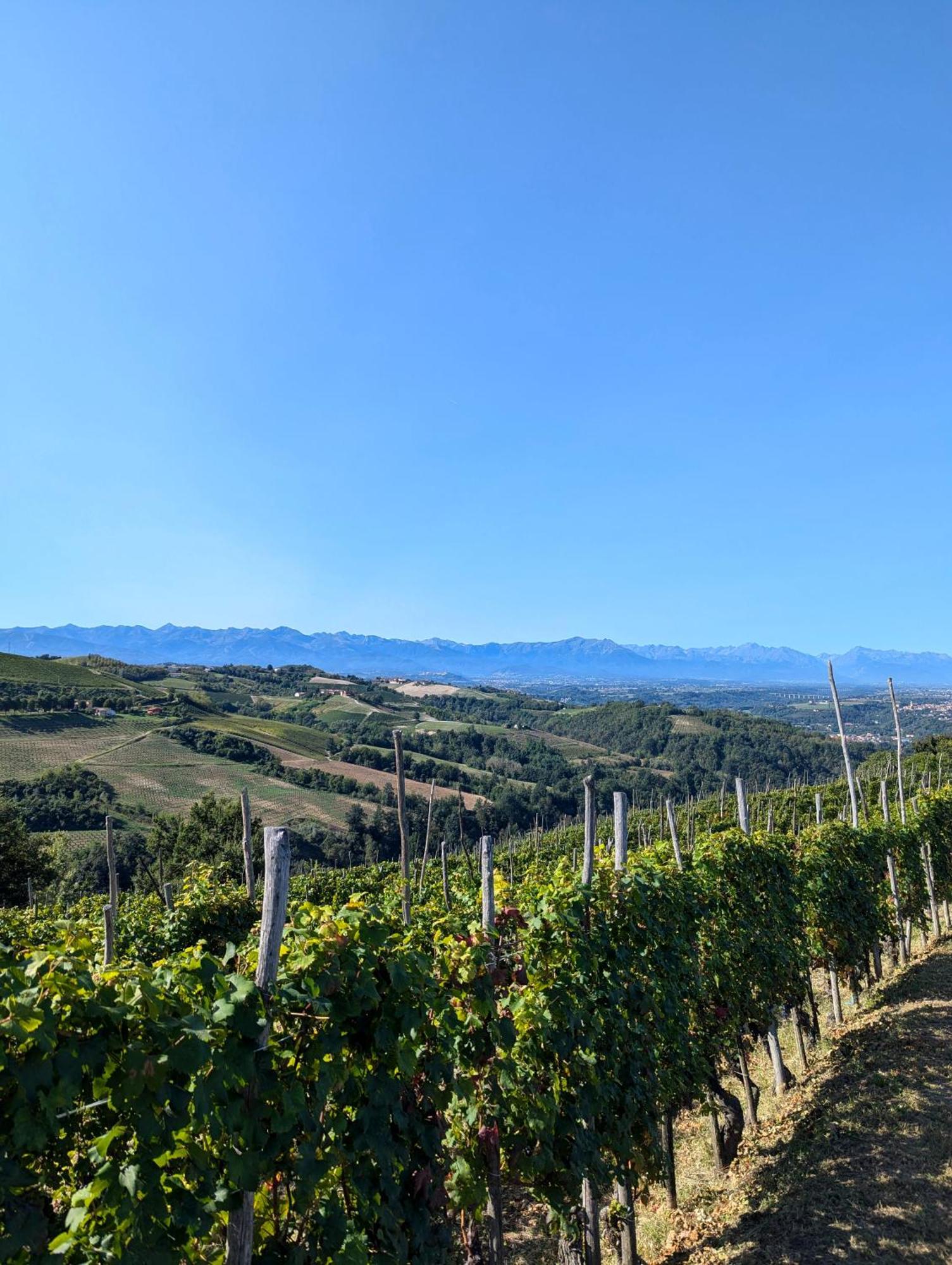 Casa Felice Villa Farigliano ภายนอก รูปภาพ